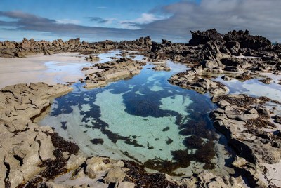 Clear Tidal Pool in Rocky Beach
