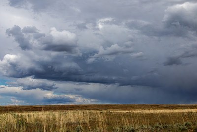 Stormy Clouds Over Grassland