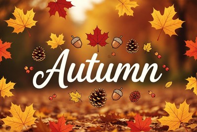 Autumn Leaves and Acorns Illustration