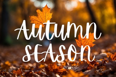 Autumn Season Text with Fall Leaves