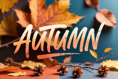 Autumn Handwritten Text with Leaves