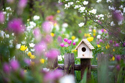 Birdhouse on wooden fence in flowers