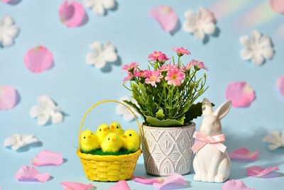 Easter chicks basket with bunny and flowers