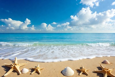 Starfish and Seashells on Beach