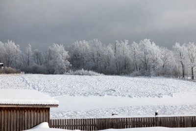 Snowy Landscape with Frosted Trees and Cabin
