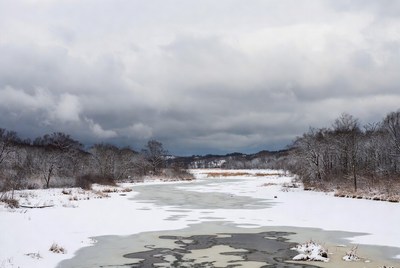 Frozen River in Snowy Woods