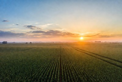 Sunrise over Corn Fields