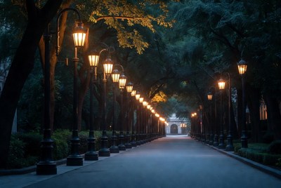 Tree-Lined Path with Glowing Street Lamps