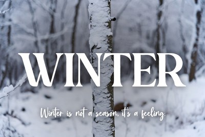 Winter Quote Snowy Trees Background