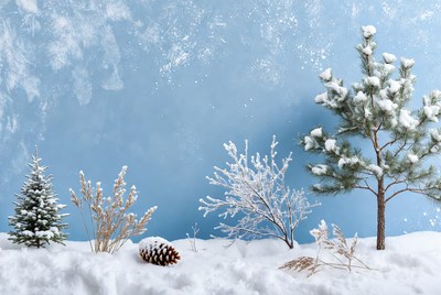 Snowy Pine Cone with Christmas Trees