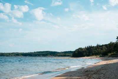 Sandy beach by lake with pine forest