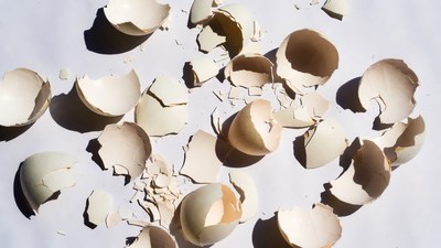Broken Eggshells on White Background