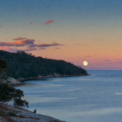 Full Moon Over Coastal Forest