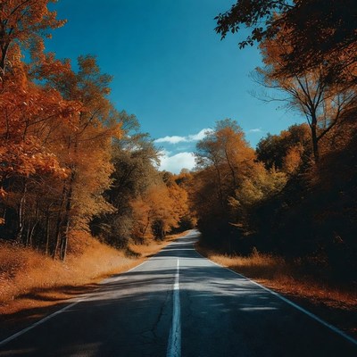 Autumn road through orange trees