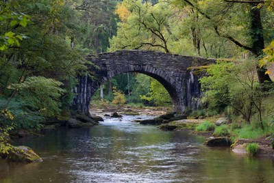 Stone Arch Bridge over Forest River