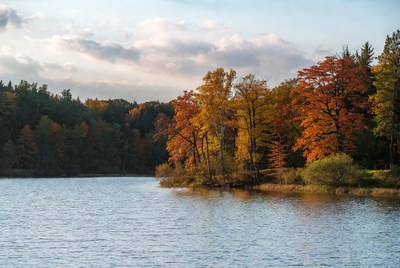 Autumn Trees by Lakeside