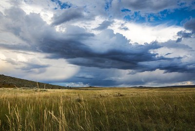 Dramatic Storm Clouds over Golden Grassland