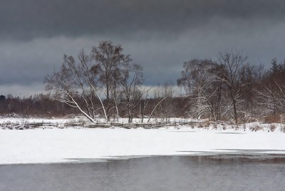 Winter Trees by Frozen Lake