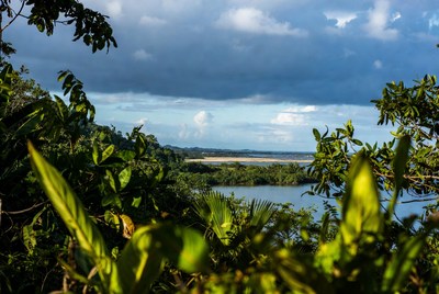 Jungle River Landscape with Clouds