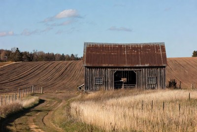 Rusty Barn in Farm Field