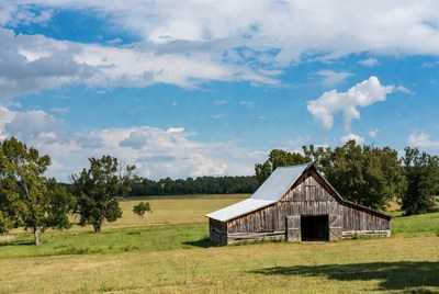 Rustic Barn in Green Field