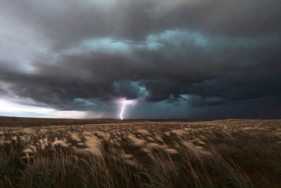 Lightning striking over wheat field