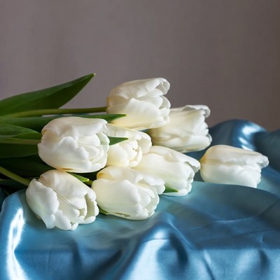 White Tulips on Blue Fabric