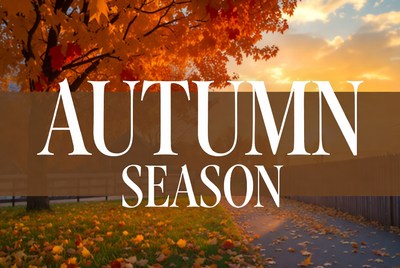 Autumn Season Tree Sunset Landscape