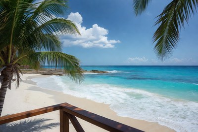 Tropical Beach with Palm Trees