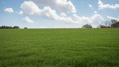 Vast green field under blue sky