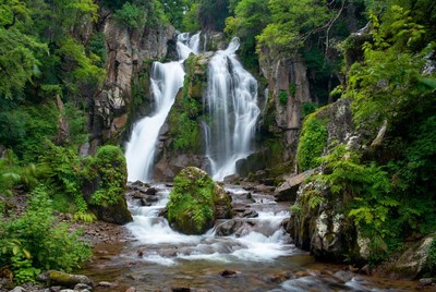 Majestic waterfall cascading in lush green forest