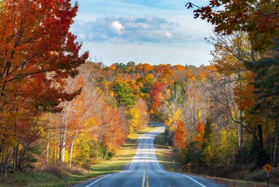 Winding road through autumn forest