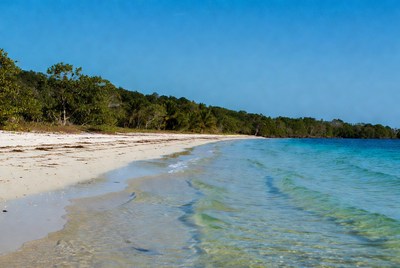 Tropical beach with turquoise water