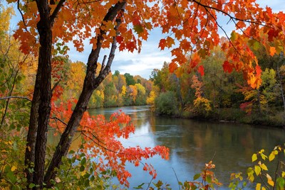 Autumn River Framed by Red Maple Trees