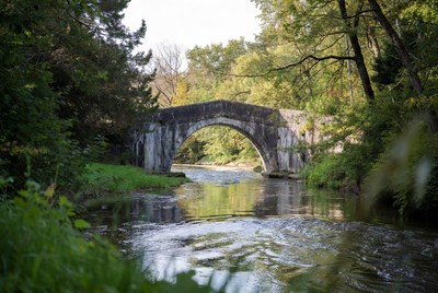 Stone Arch Bridge over Forest River