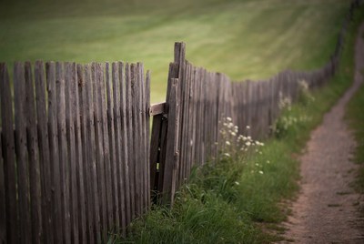 Open wooden fence along grassy path