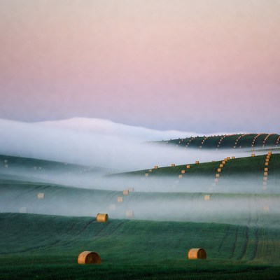 Hay bales in misty green fields