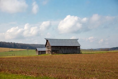 Rustic Barns in Rural Field