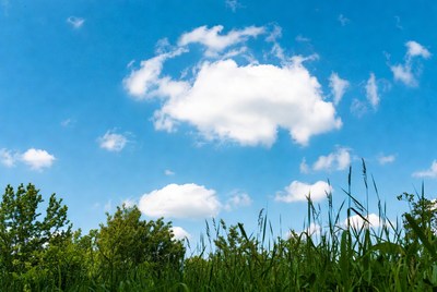 Fluffy white cloud in blue sky