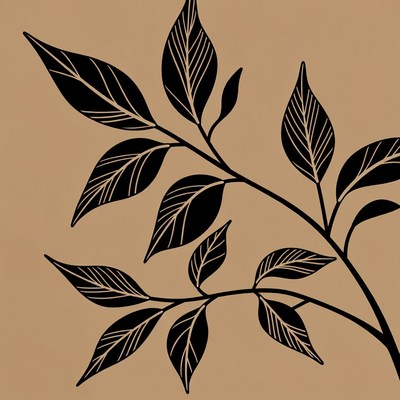 Black Leaf Branch Illustration