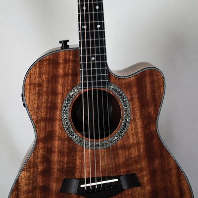 Taylor Acoustic Guitar Closeup