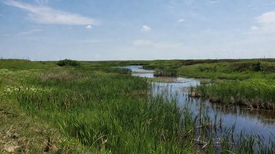 Marshland with winding stream