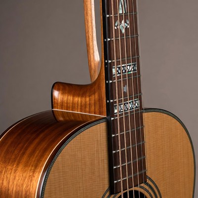 Classical Guitar Neck and Body Detail