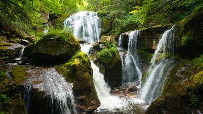 Cascading Waterfall in Lush Forest