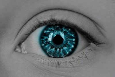 Close-up blue human eye