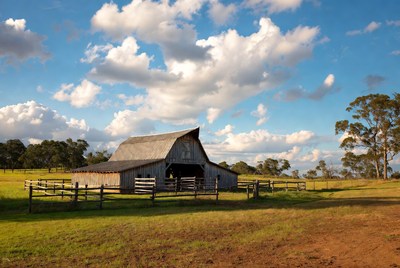 Old wooden barn in green pasture