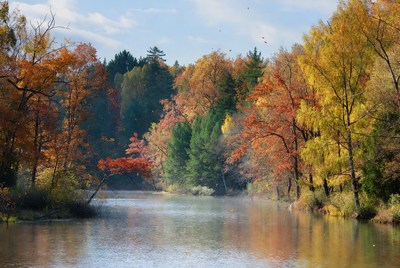Autumn Forest Reflecting in Calm Lake