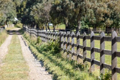 Wooden fence along dirt path