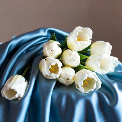 White tulips on blue silk