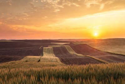 Sunset Over Rolled Farmland Fields